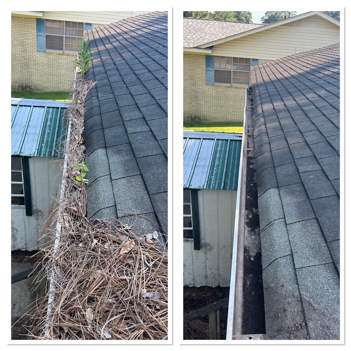 Gutter packed with pine straw next to the same gutter cleared out